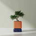 Custom 3D Printed Planter “Vori Square” – Modern Square Plant Pot, Two-Tone or Solid Color