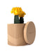 Minimalist spiral 3D printed flower pot featuring bright yellow cacti and a low planter profile. Its vertical ridge pattern and diagonal wrap make it one of the most unique planter pots for succulent arrangements. Ideal as a gift for mom or a decorative piece in modern indoor planters collections. Great addition to stylish book plant pot setups or for use as functional and beautiful flower pots.