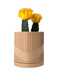 Unique 3D printed planter pot with matching lid, shown open to display its modern, spiral design. This ornate flower pot doubles as a low planter pot for succulents or flowers and includes a stylish, functional drainage insert. Ideal for gifts for mom, unique home decor, or book plant pot setups. A standout piece among other indoor planters and perfect for personalized pots and planters collections.