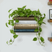 The «Orven» Wall Planter — 3D Printed Book Stack Wall Planter