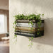 Wall planter "Orven" with five multicolor books and trailing green indoor plants