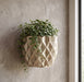 Wall planter “Prizma” with geometric faceted texture for modern indoor plant wall decor