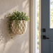 Prizma 3D printed geometric wall planter highlighting faceted wall-mounted form