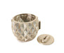 Wall plant holder “Prizma” with wall mount plate, designed for indoor plant wall decor