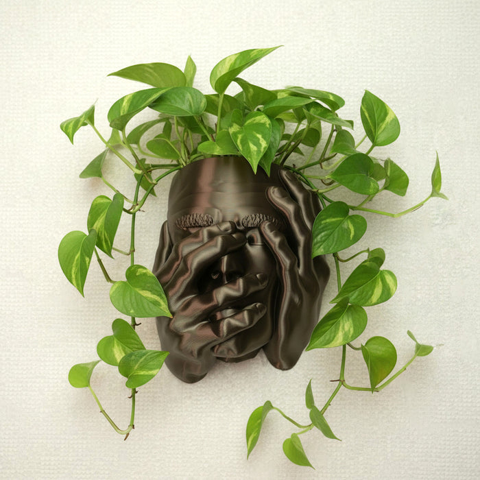 “Atlas” male face wall planter with trailing plant