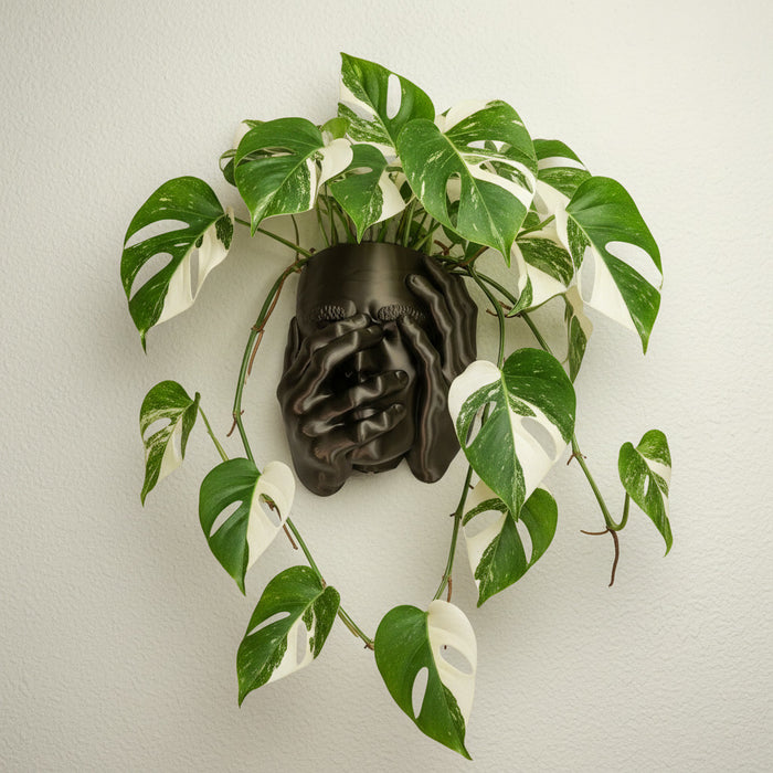 Male Face Wall Planter “Atlas” for Indoor Plants
