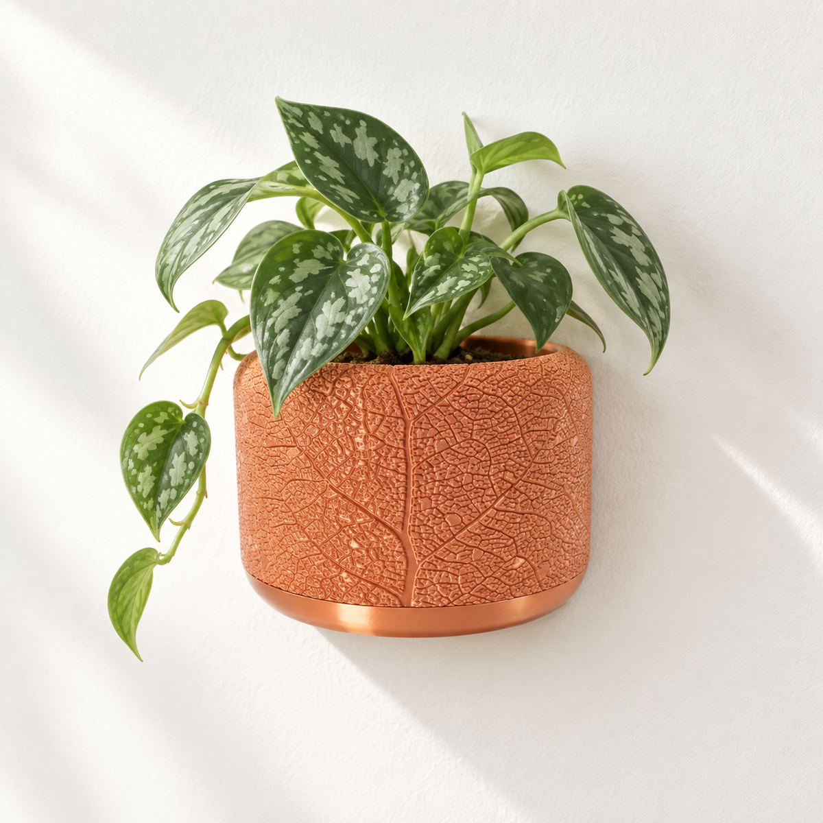 Terracotta-colored Leaf Vein wall planter with branching botanical relief and variegated leaves.